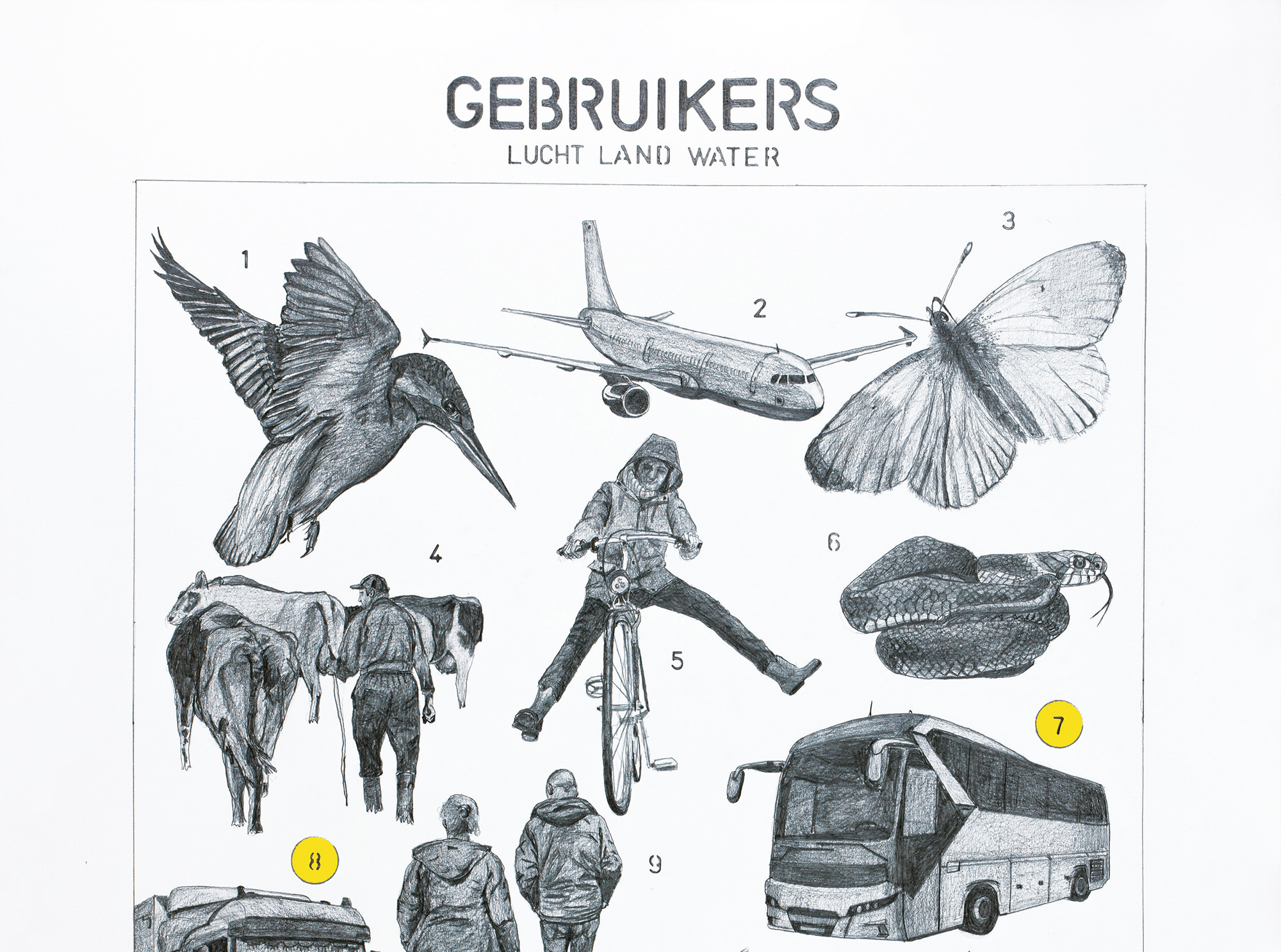 infographic weggebruikers